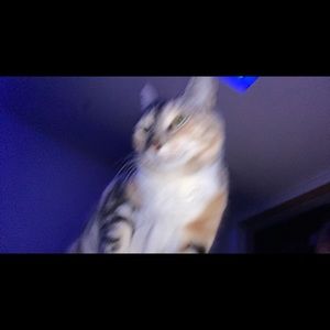 Meet your Posher, Steven